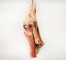 Cutaneus Muscle Meat Cut Spec Step 2
